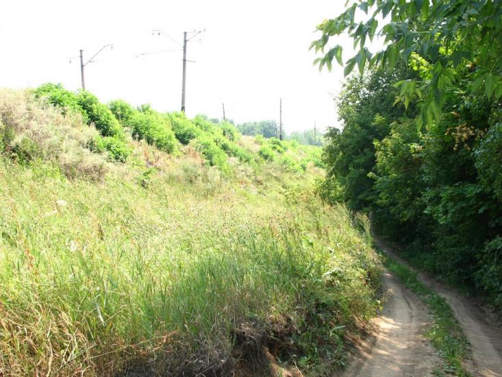 Чемужівка з panoramio.com - Чемужовка