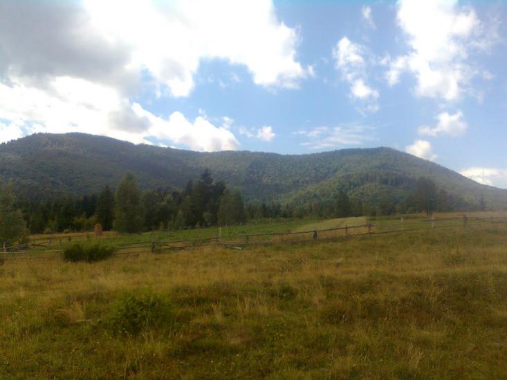 Пшеничники з panoramio.com - Пшеничники