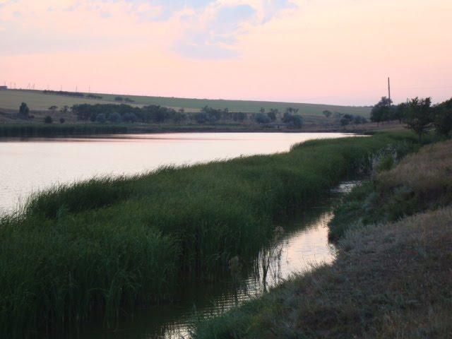 Солончаки з panoramio.com - Solonchaky