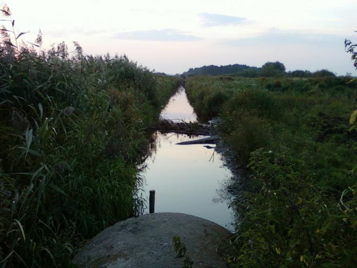 Сальник з panoramio.com - Сальник