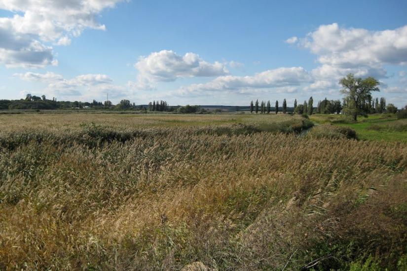 Іскра з panoramio.com - Искра