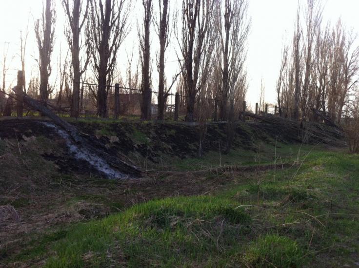 Мироцьке з panoramio.com - Мироцьке