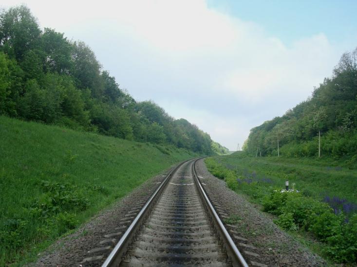 Нестерівці з panoramio.com - Нестерівці