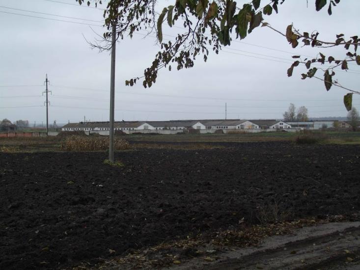 Абазівка з panoramio.com - Абазовка