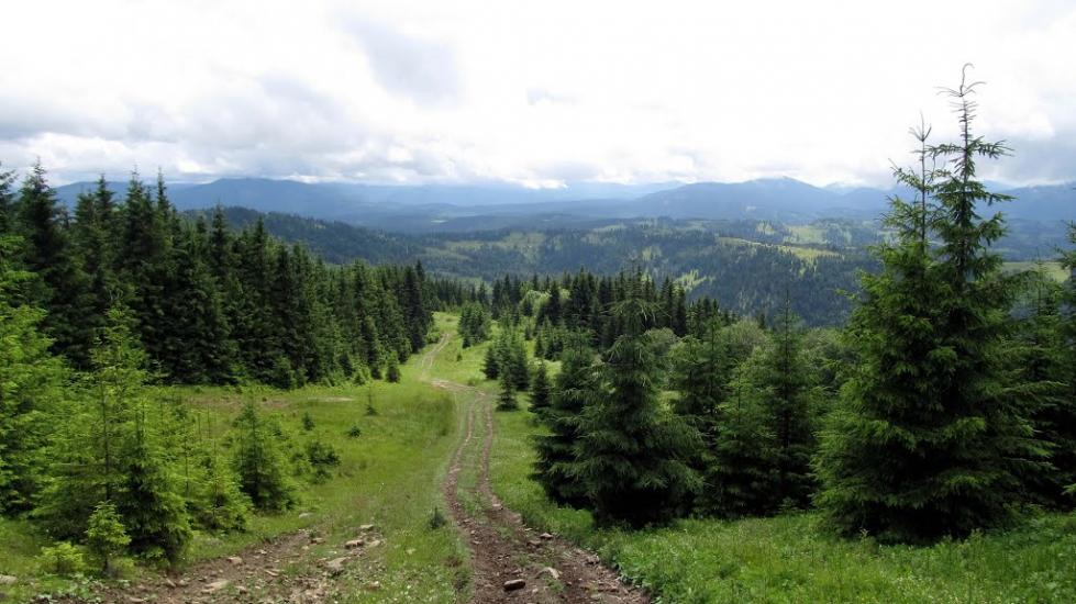 Завийка з panoramio.com - Завийка