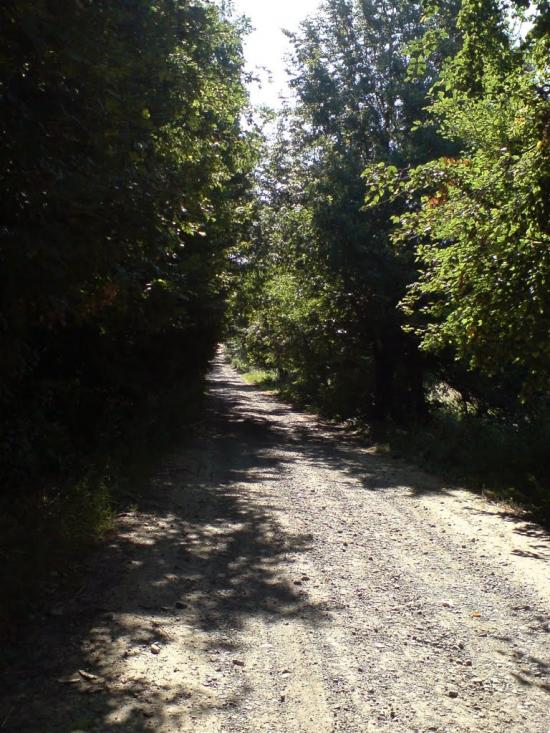 Войнилів з panoramio.com - Voynyliv