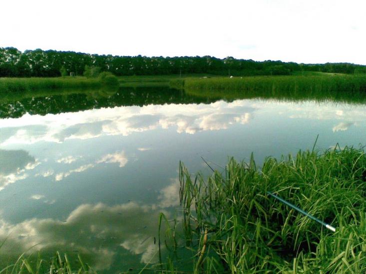 Вільхуватка з panoramio.com - Вільхуватка