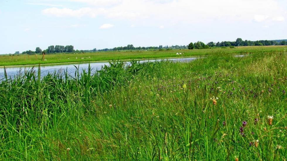 Ремчиці з panoramio.com - Ремчиці