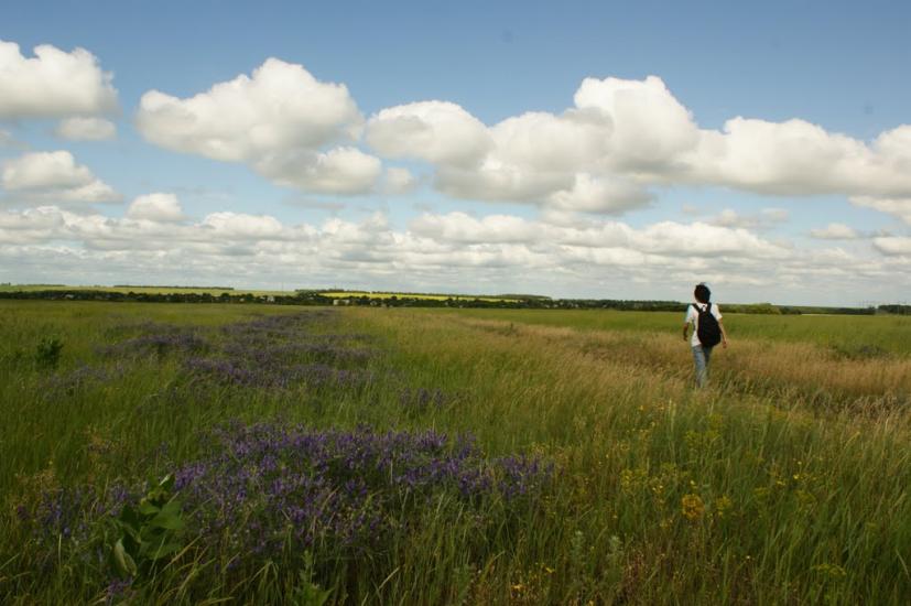 Сад з panoramio.com - Сад