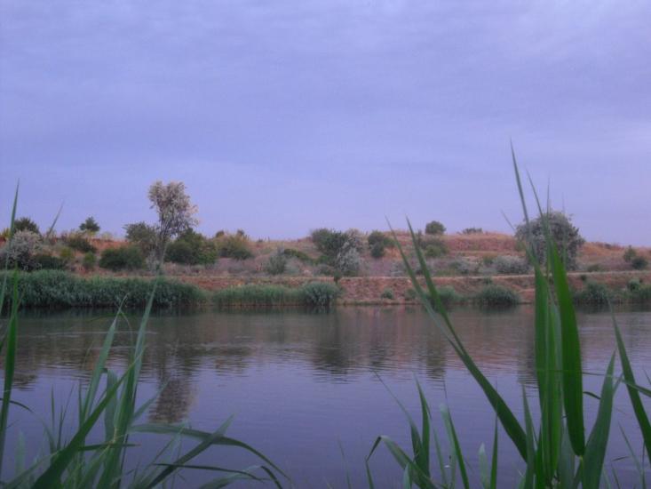 Нова Долина з panoramio.com - Нова Долина