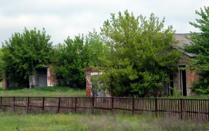 Оболоння з panoramio.com - Оболонье