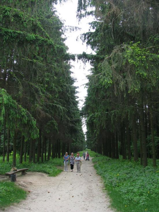 Краснокутськ з panoramio.com - Краснокутск
