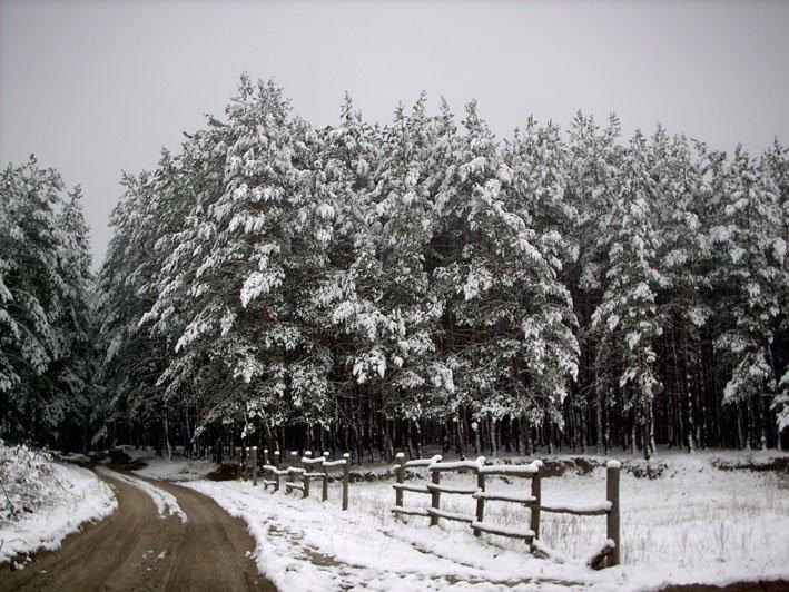 Мерефа з panoramio.com - Merefa