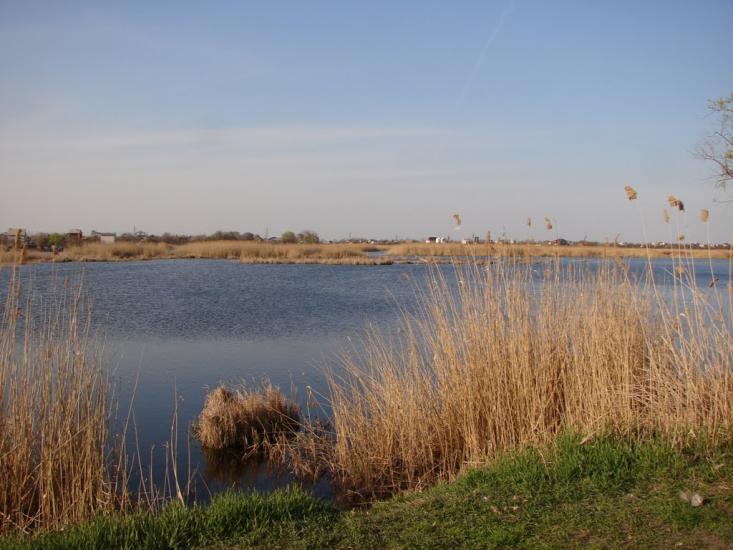 Ювілейне з panoramio.com - Yuvileyne