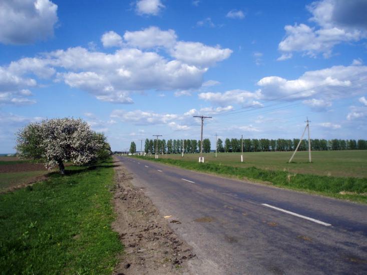 Демидівка з panoramio.com - Демидівка