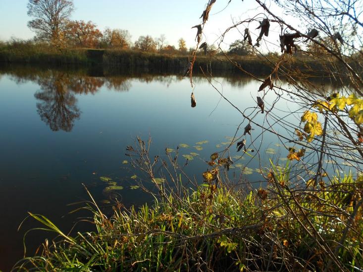 Хрещатик з panoramio.com - Хрещатик