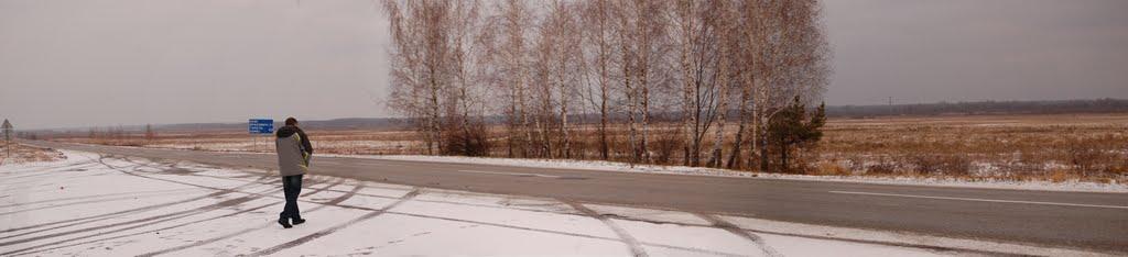 Ріпки з panoramio.com - Ріпки