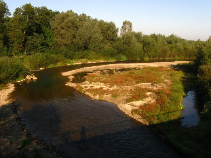 Засадки з panoramio.com - Засадки