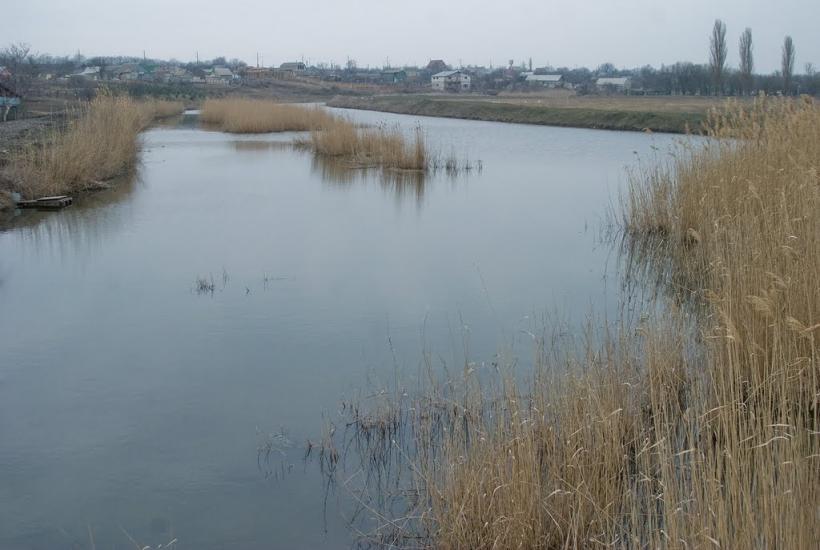 Дальник з panoramio.com - Дальник