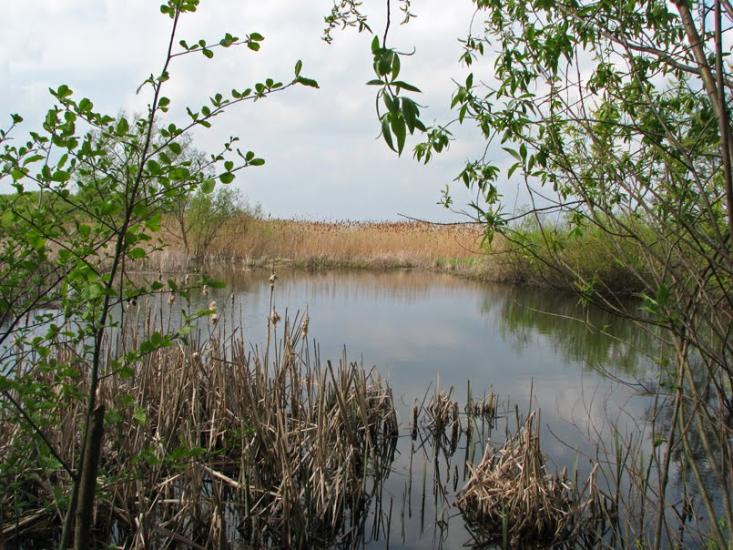 Литвинівка з panoramio.com - Литвиновка