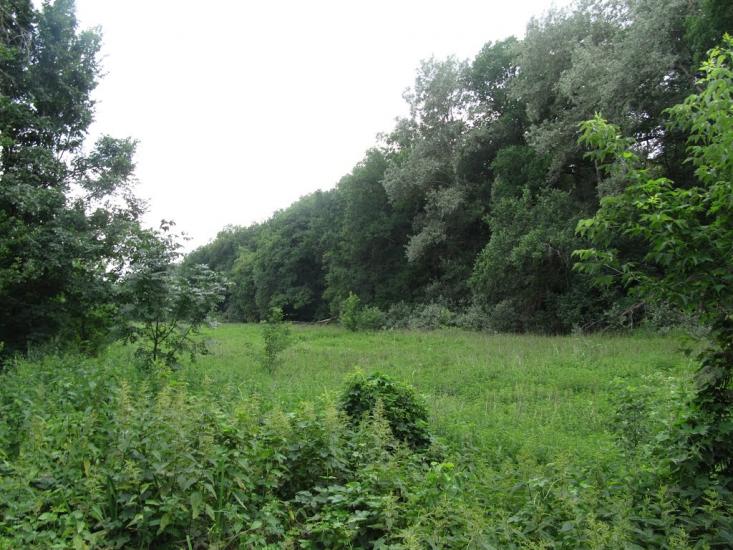 Синичине з panoramio.com - Синичине