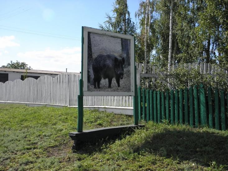 Яреськи з panoramio.com - Jaresky