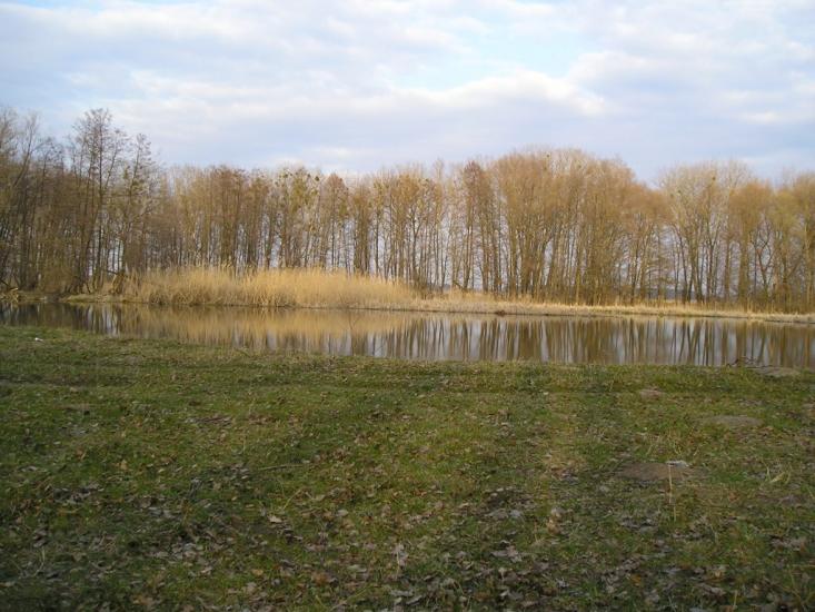 Нижня Сироватка з panoramio.com - Нижня Сироватка
