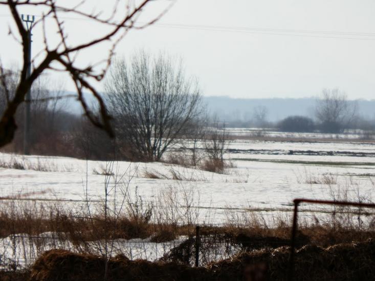 Малі Селменці з panoramio.com - Малые Селлменцы