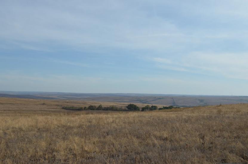 Мала Мартинівка з panoramio.com - Мала Мартинівка