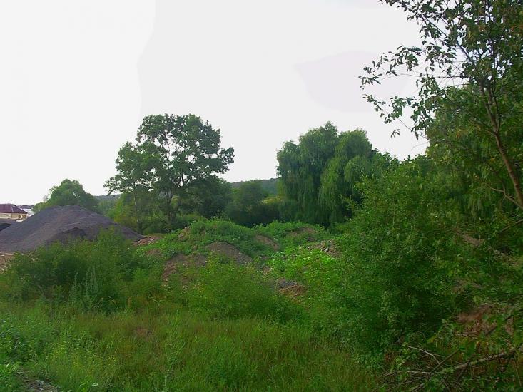 Піонерське з panoramio.com - Пионерское