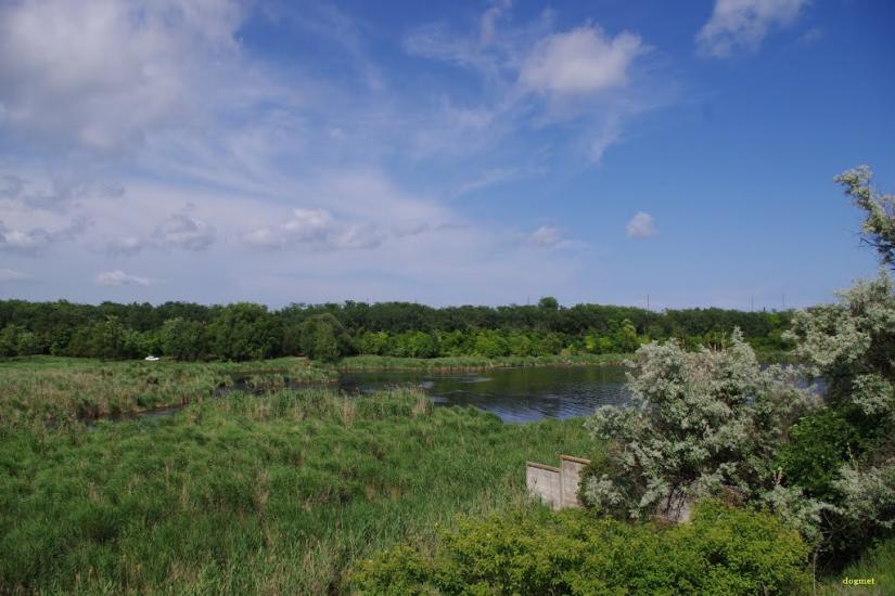 Прилиманське з panoramio.com - Прилиманское