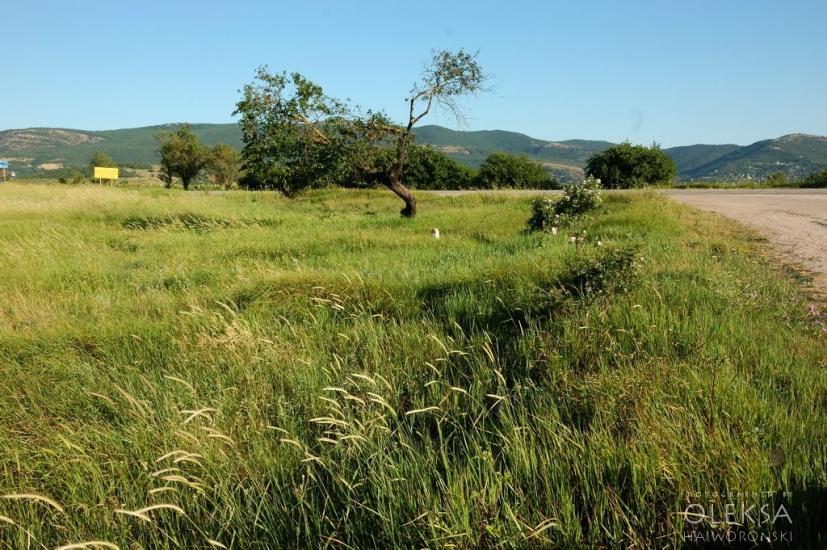 Інкерман з panoramio.com - Инкерман