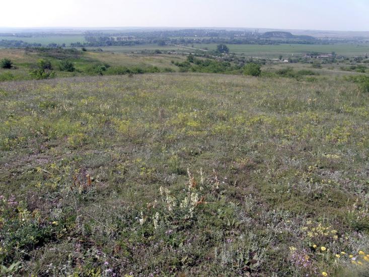 Біле з panoramio.com - Белое