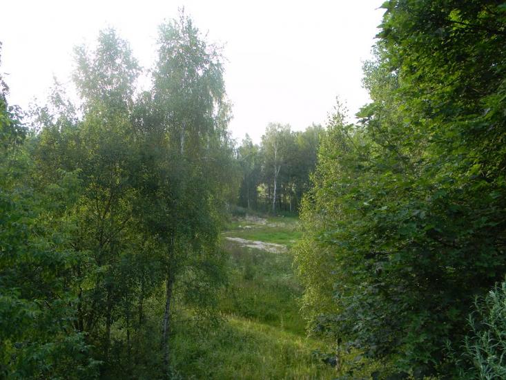 Городня з panoramio.com - Городня