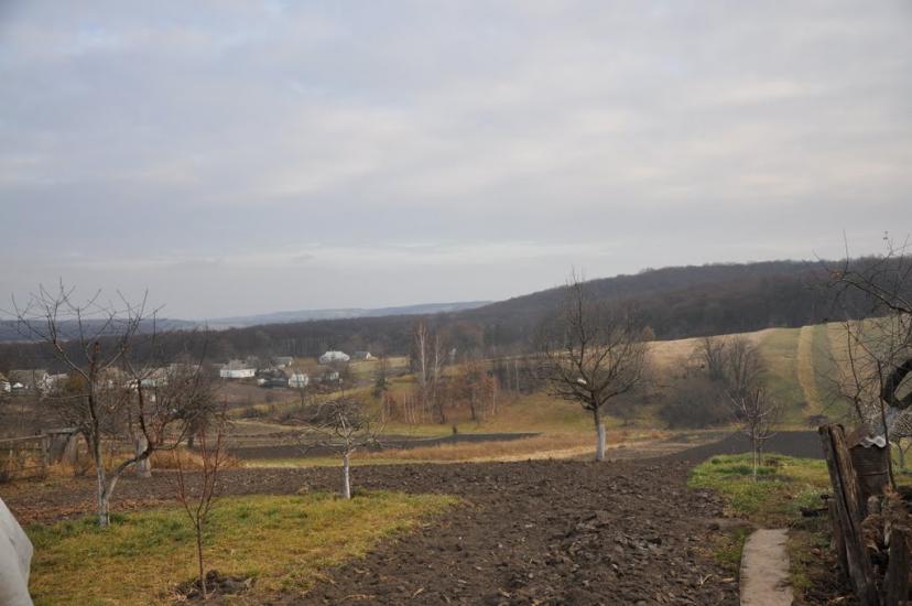 Шкарівка з panoramio.com - Шкаровка