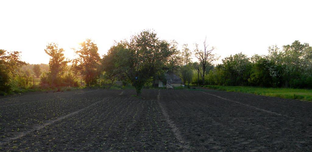 Івангород з panoramio.com - Ивангород