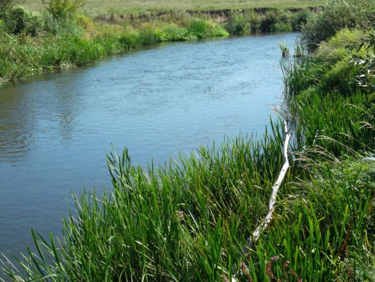 Ялцівка з panoramio.com - Ялцовка