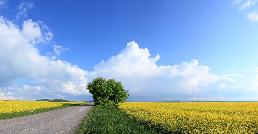 Підлисся з panoramio.com - Pidlyssya