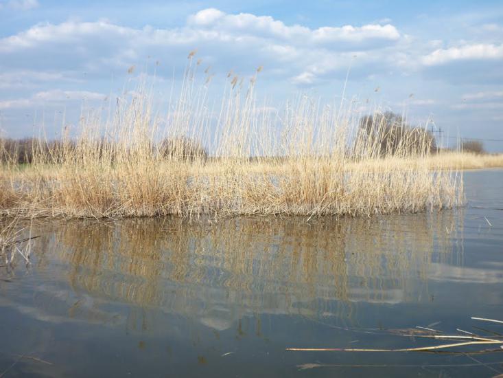 Дерезівка з panoramio.com - Дерезівка