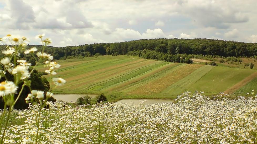 Павлівка з panoramio.com - Павлівка