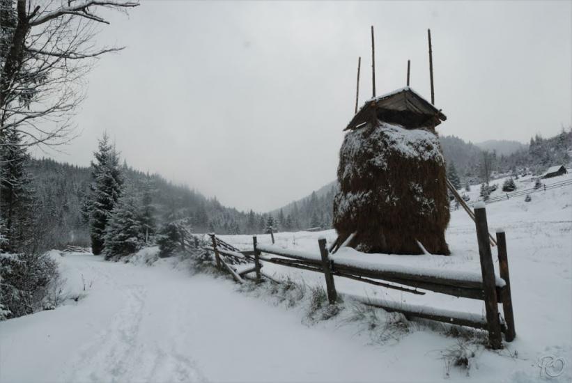 Згари з panoramio.com - Згары