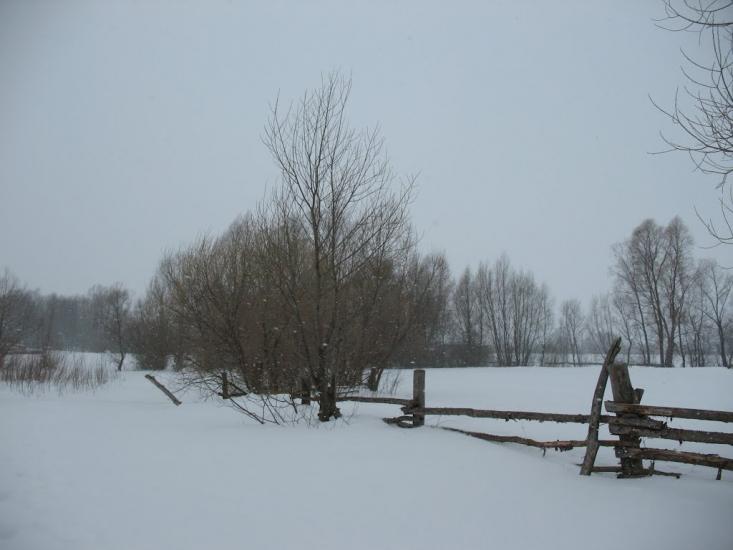 Осіч з panoramio.com - Osich