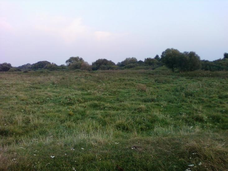 Сальник з panoramio.com - Сальник