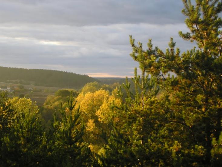 Крива Лука з panoramio.com - Крива Лука