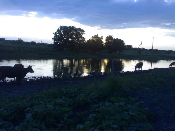 Ленінське Перше з panoramio.com - Ленінське Перше