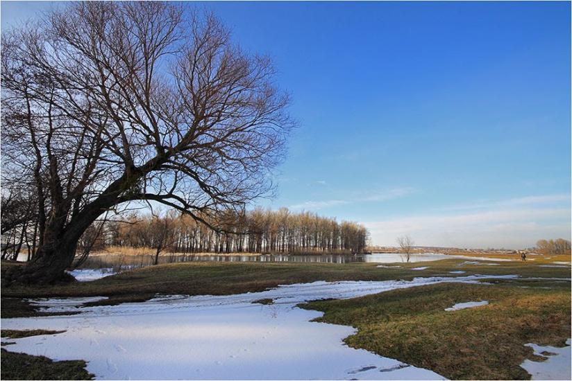 Нижня Сироватка з panoramio.com - Нижня Сироватка