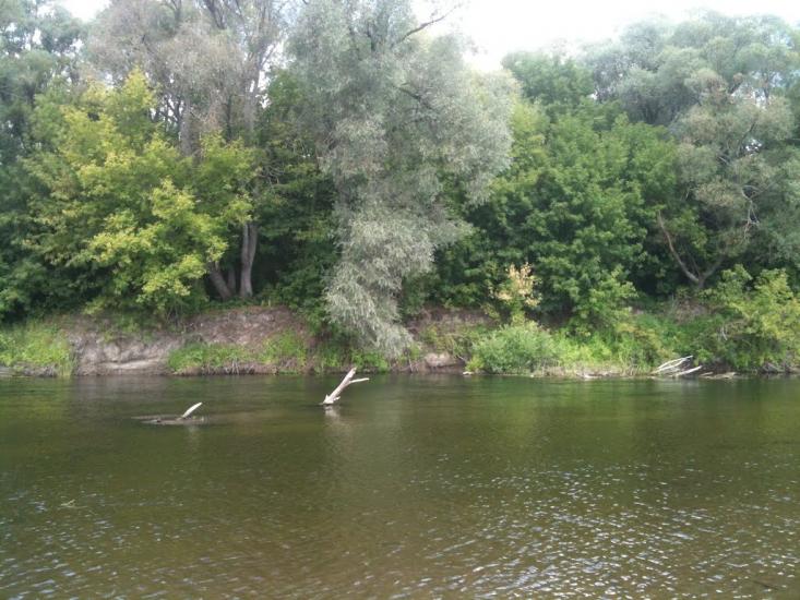 Любитове з panoramio.com - Любитове
