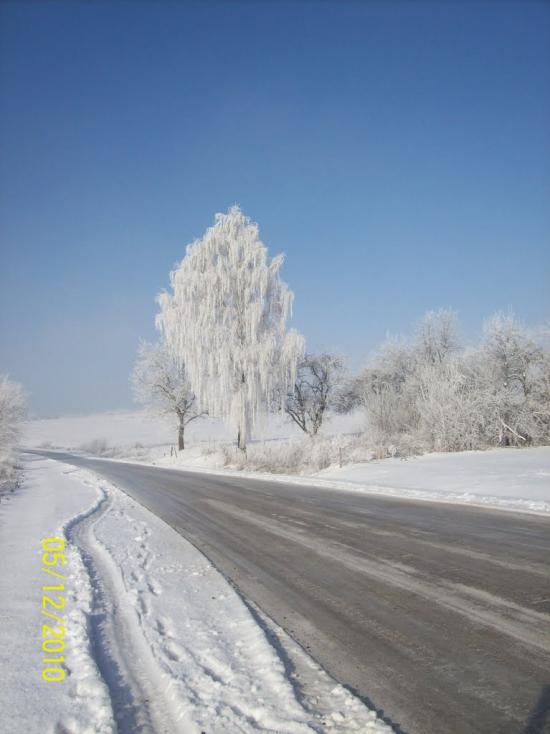 Стрілковичі з panoramio.com - Стрелковичи