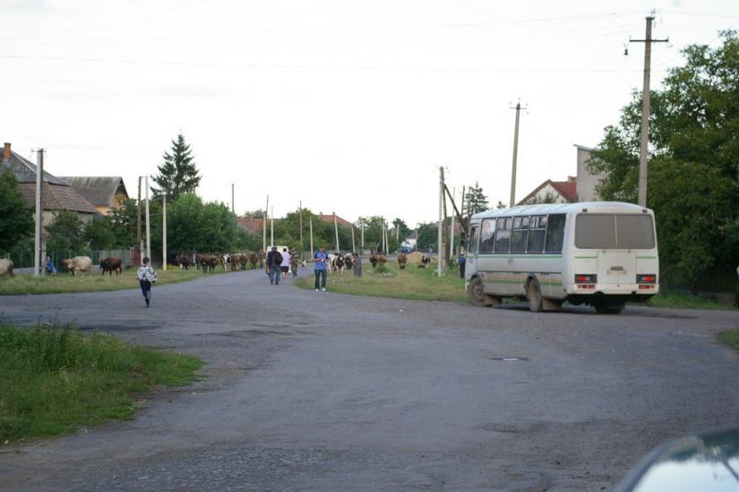 Соловка з panoramio.com - Соловка