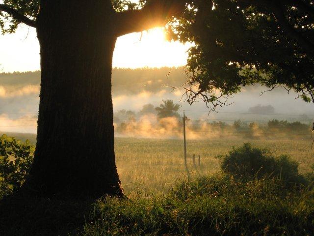 Углище з panoramio.com - Углище